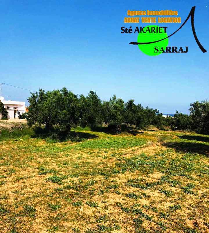 Akouda Chatt Meriem Terrain Terrain agricole Offre terrain 596m vue de mer  chatt mariem