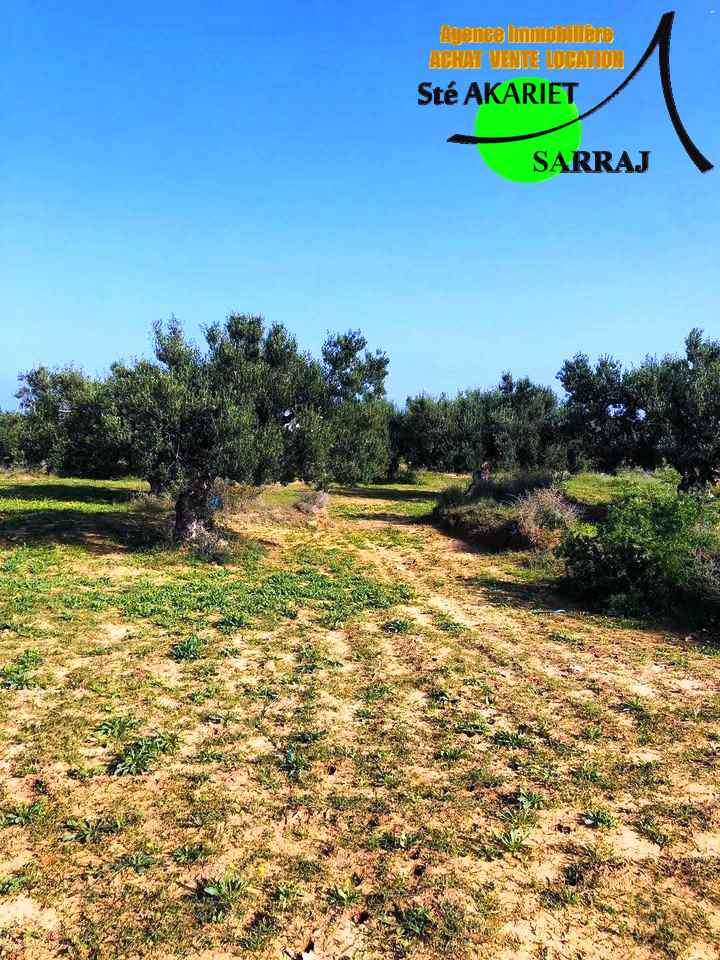 Akouda Chatt Meriem Terrain Terrain agricole Offre terrain 596m vue de mer  chatt mariem