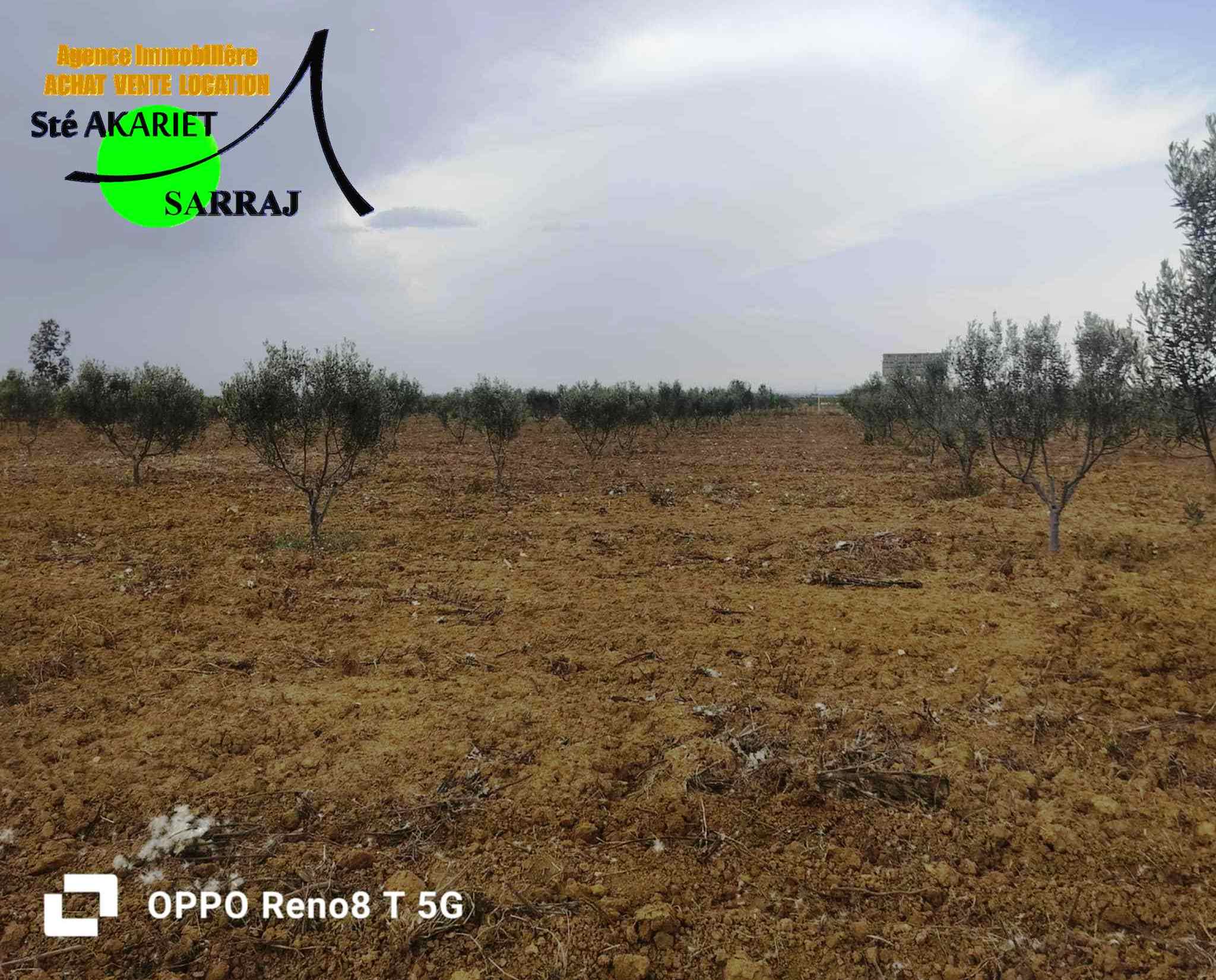 Terrain Terrain agricole