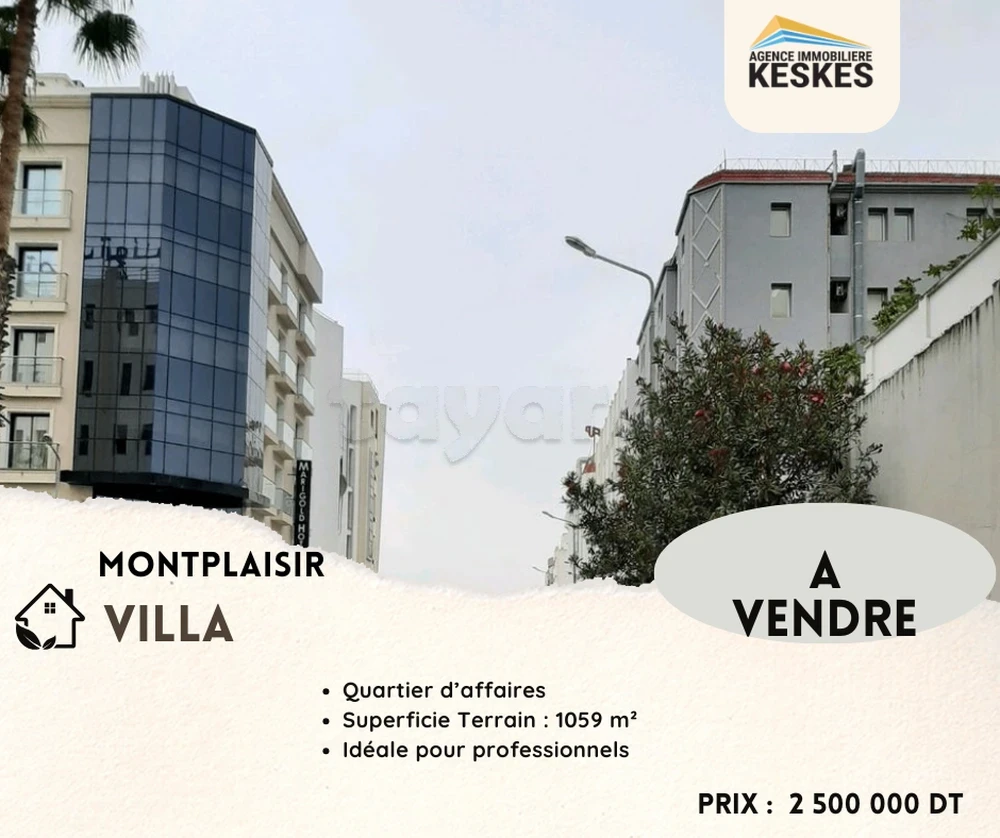 Terrain&nbsp;Terrain nu