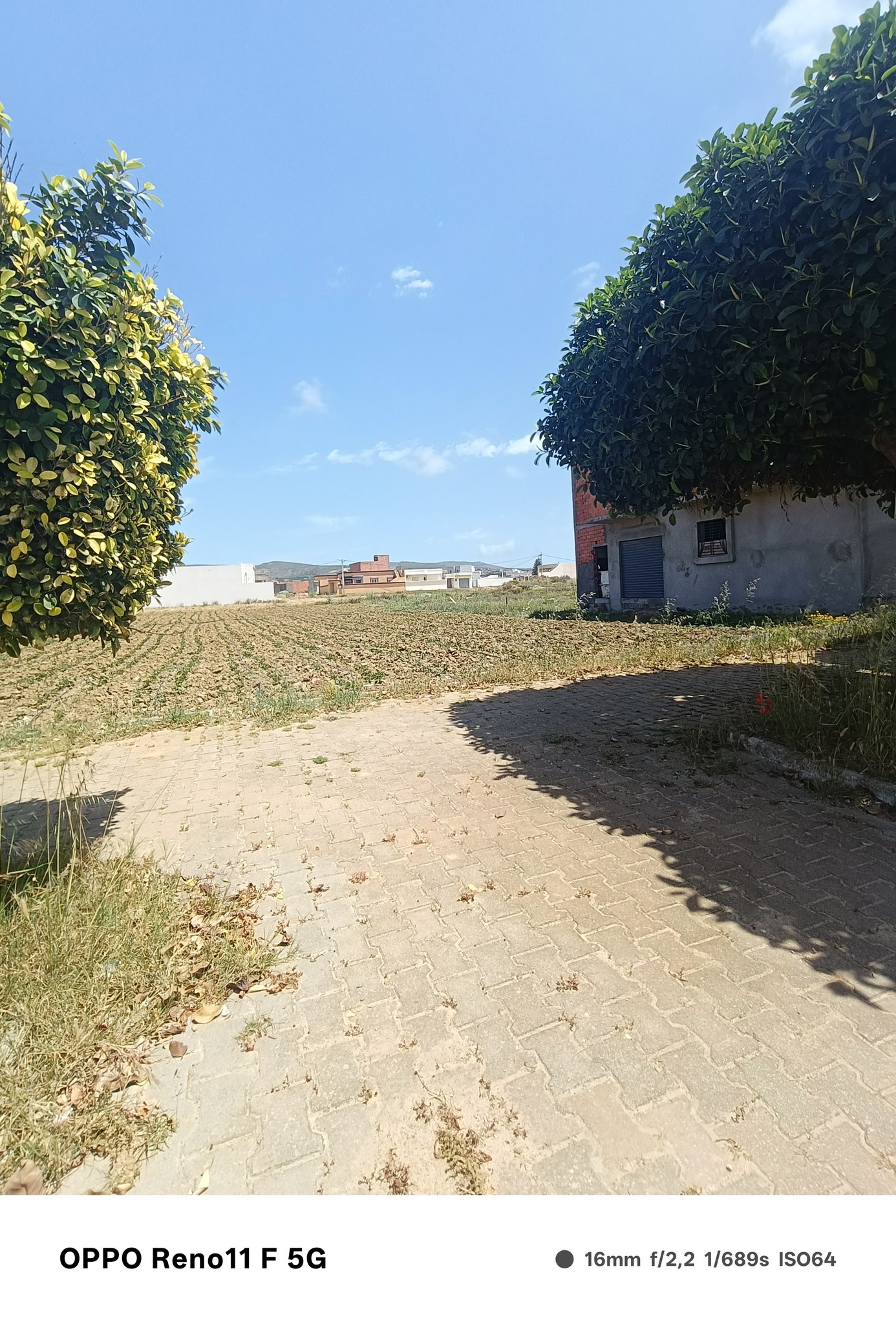 Terrain Terrain nu
