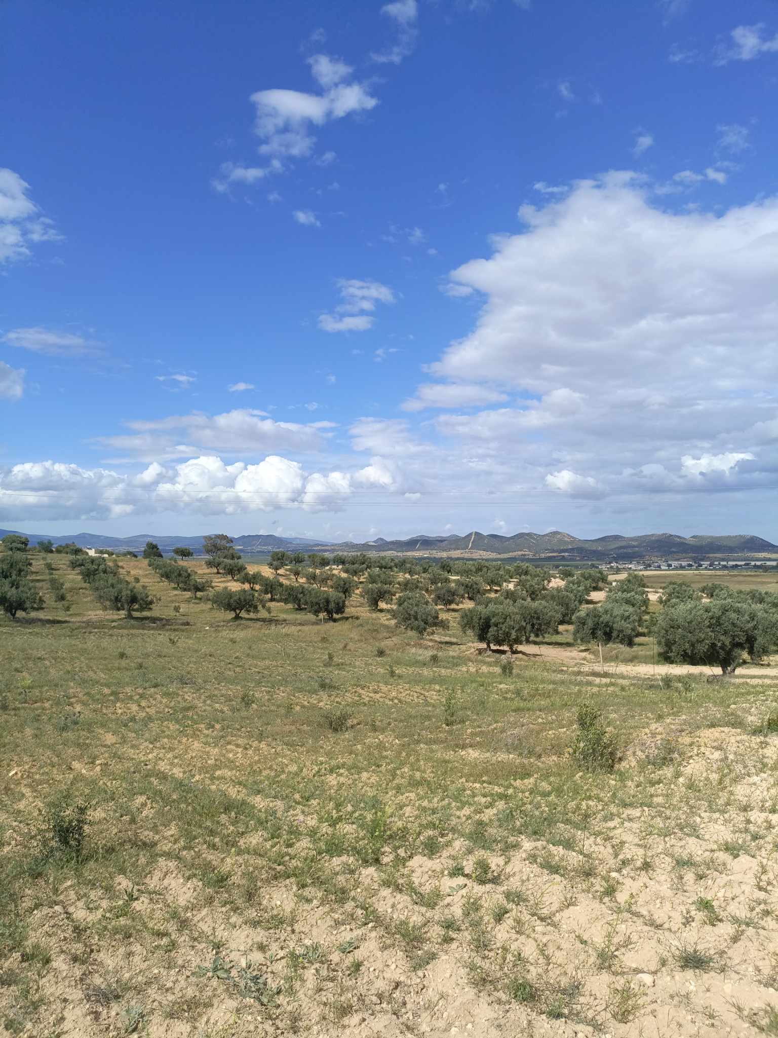 Terrain Terrain agricole