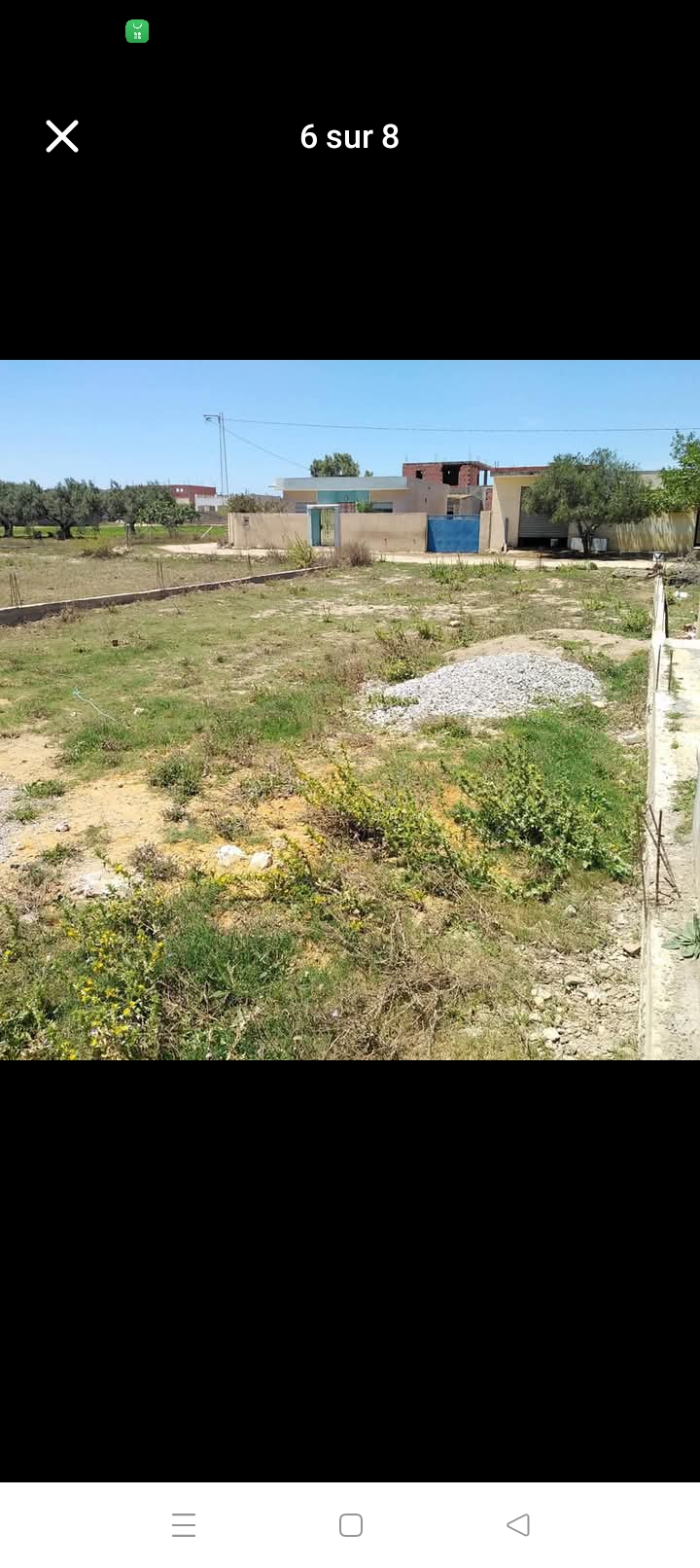 Kelibia Kelibia Terrain Terrain nu Beau terrain  tihert