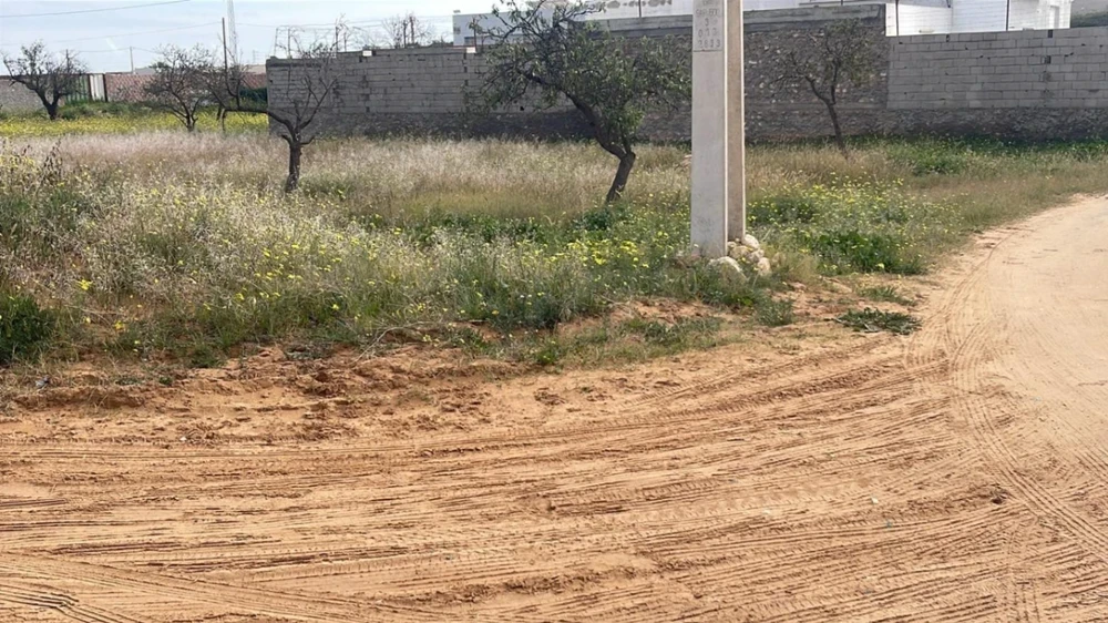 Sfax Sud El Aouabed Terrain Terrain nu Terrain sfax lafrane km9