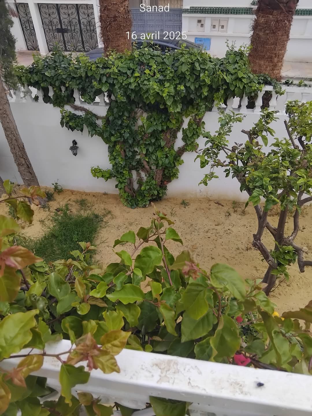 Carthage Cartage Byrsa Location Maisons Grande villa 2 niveaux carthage birsa