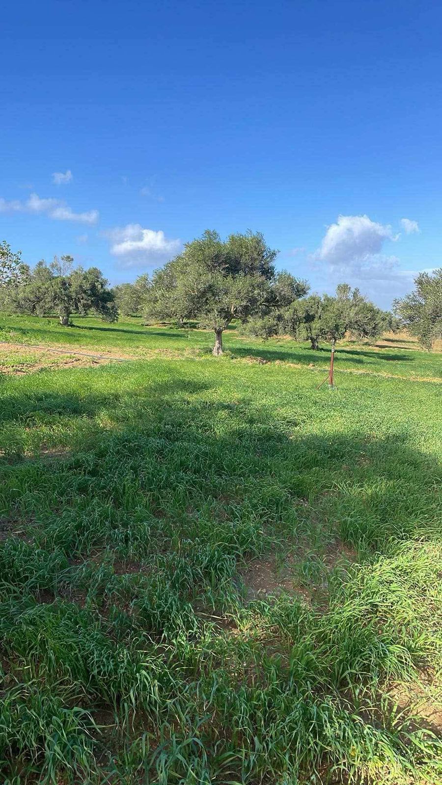 Terrain Terrain agricole