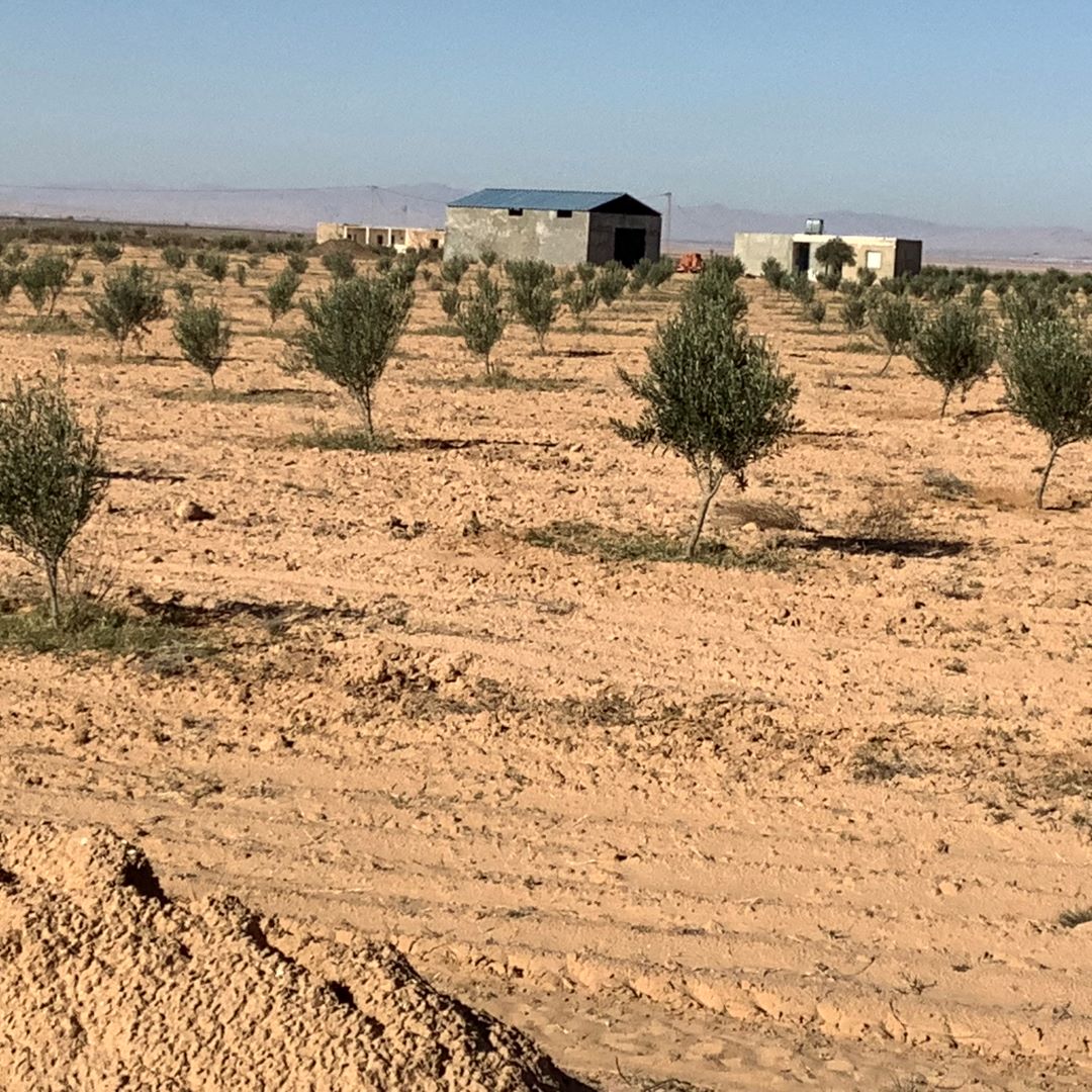 Esskhira Naoual Terrain Terrain nu Grande surface agricole