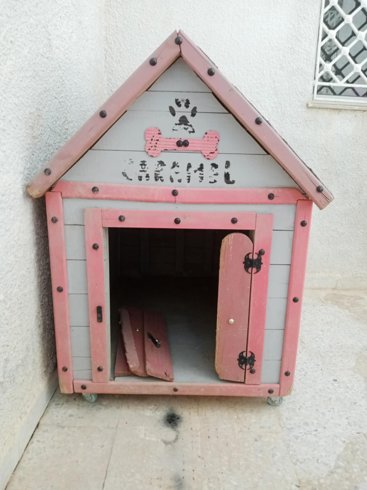 Chiens Autre