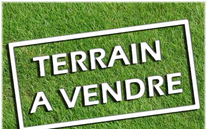 Terrain Terrain agricole