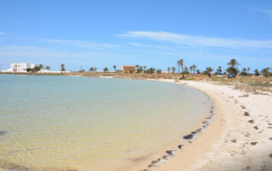 Kerkenah Ouled Yaneg Terrain Terrain nu Terrains  sidi fraj kerkennah