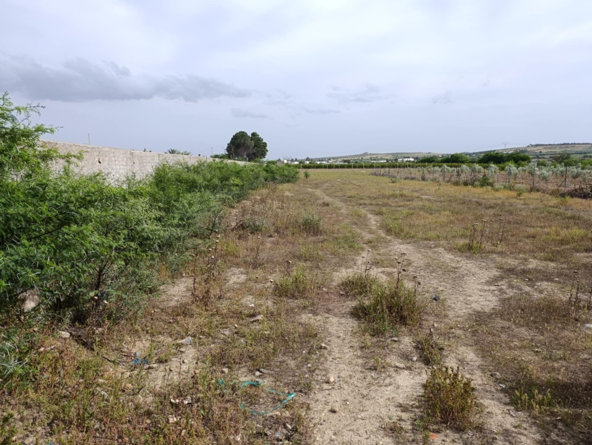 Terrain Terrain agricole