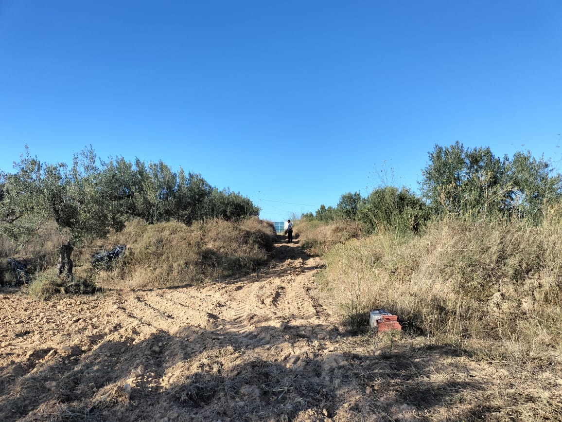 Kalaa El Kebira Kalaa El Kebira Terrain Terrain agricole Terrain fertile  kala kbira