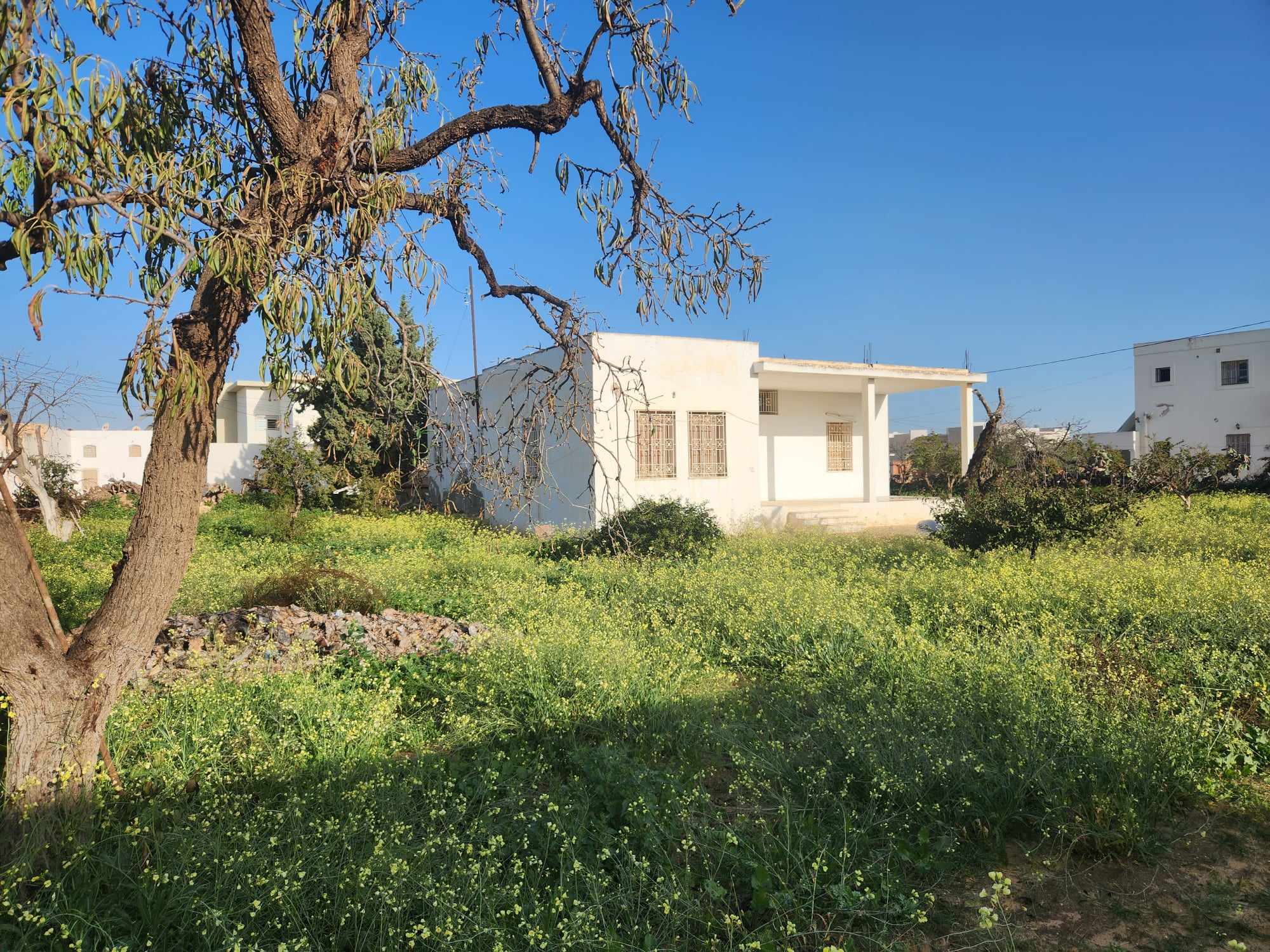 Sfax Est Merkez Chaker Vente Maisons Sfax menzel chaker vnt maison 1135m2