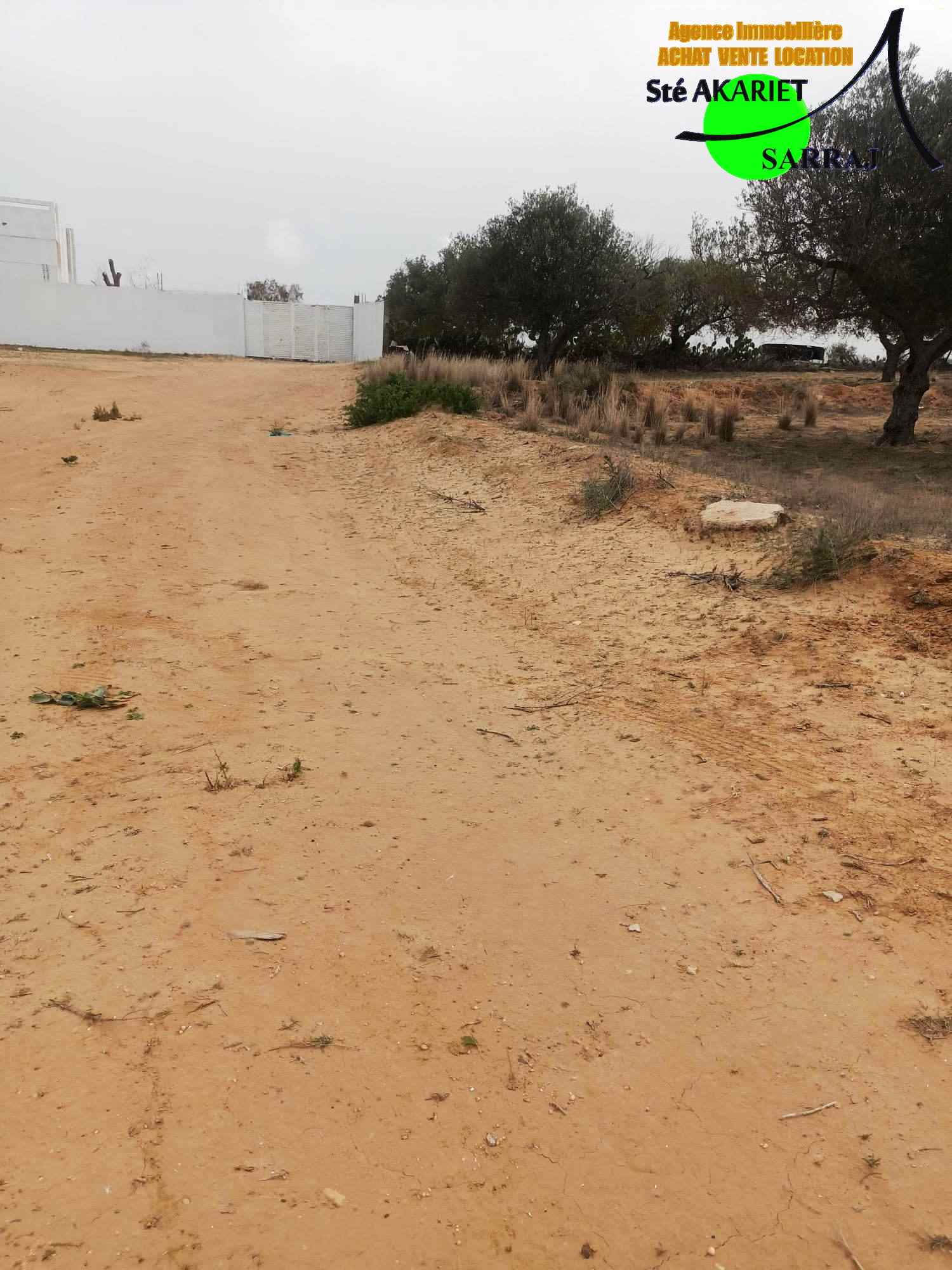 Akouda Chatt Meriem Terrain Terrain nu Terrain 300m vue de mer  koussour gharnata