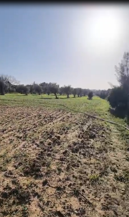 Terrain Terrain agricole