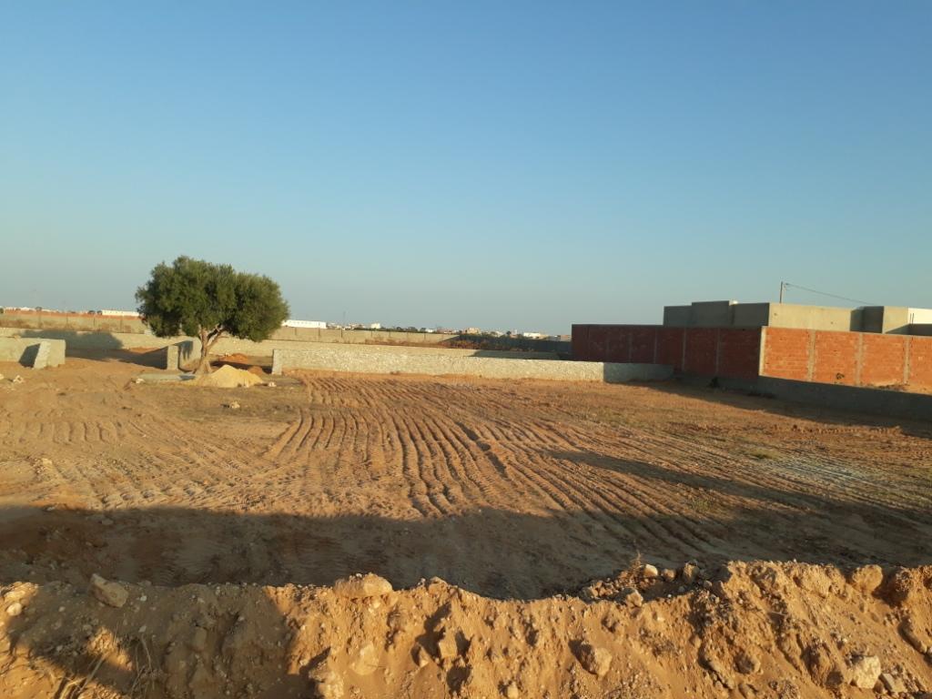 Sfax Ville Ain El Mayel Terrain Terrain nu Terrain 928 m2  rt gremda km11 rocade sfax