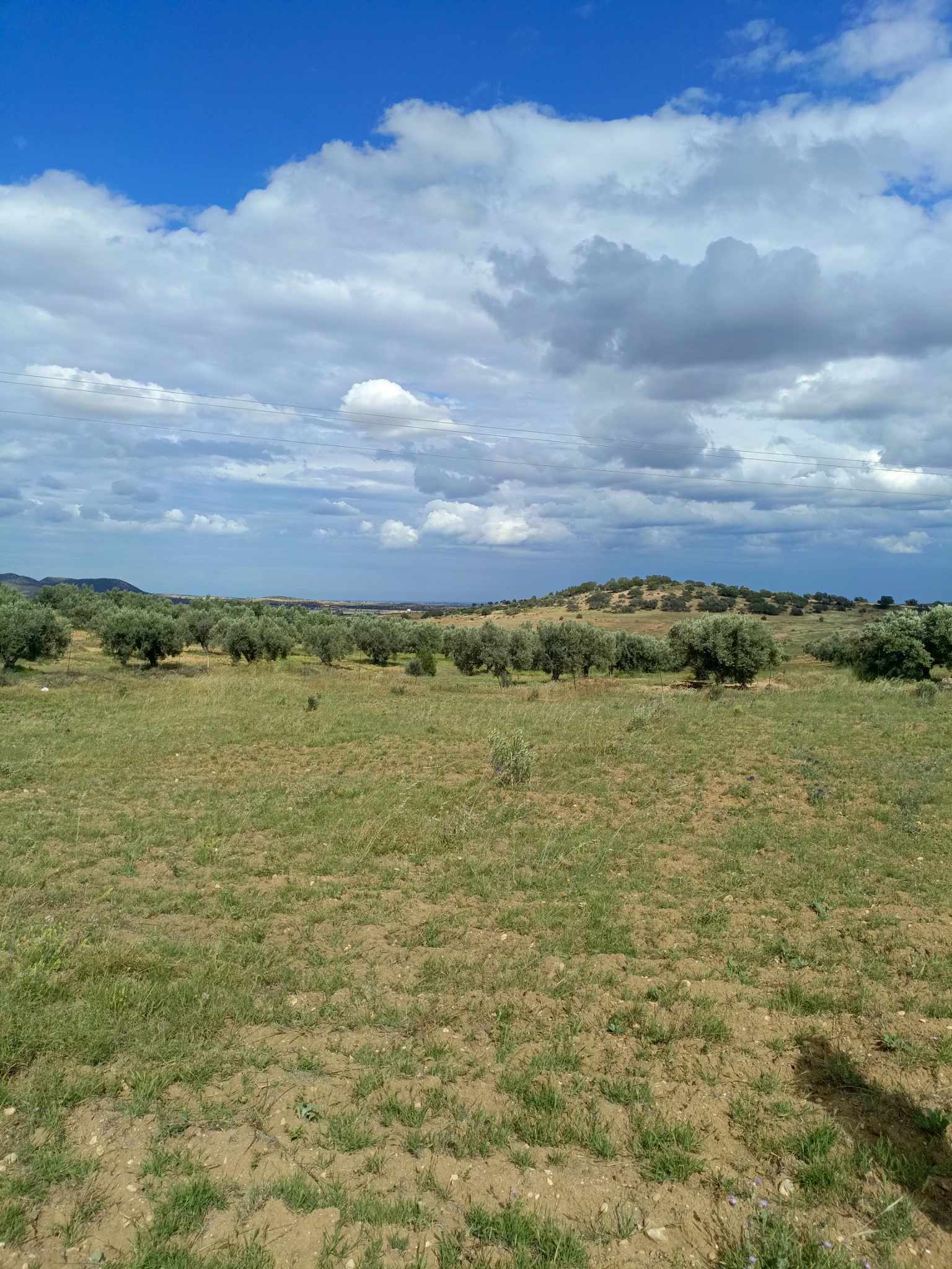 Hammam Zriba Bou Achir Terrain Terrain agricole Av terrain 4100m  zaghouan 99958728