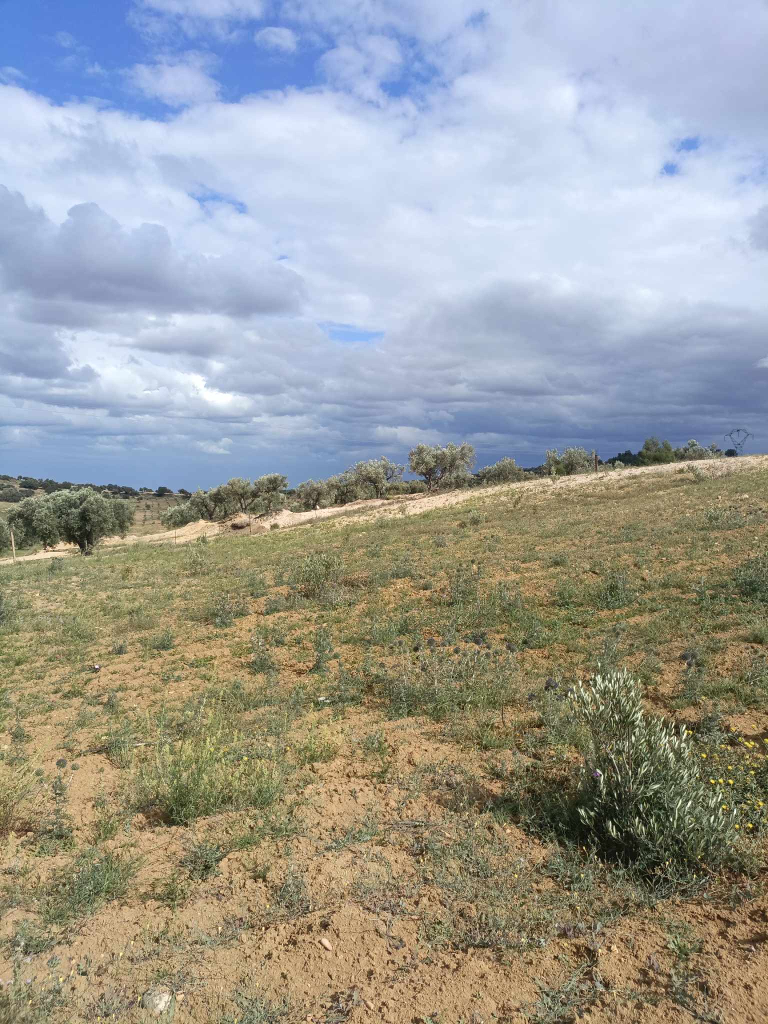 Terrain Terrain agricole