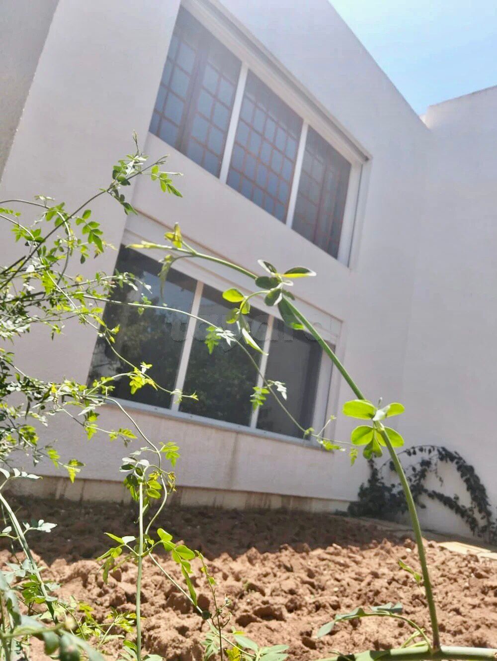 El Menzah El Manar 2 Location Maisons Villa s4 avec jardin  manar