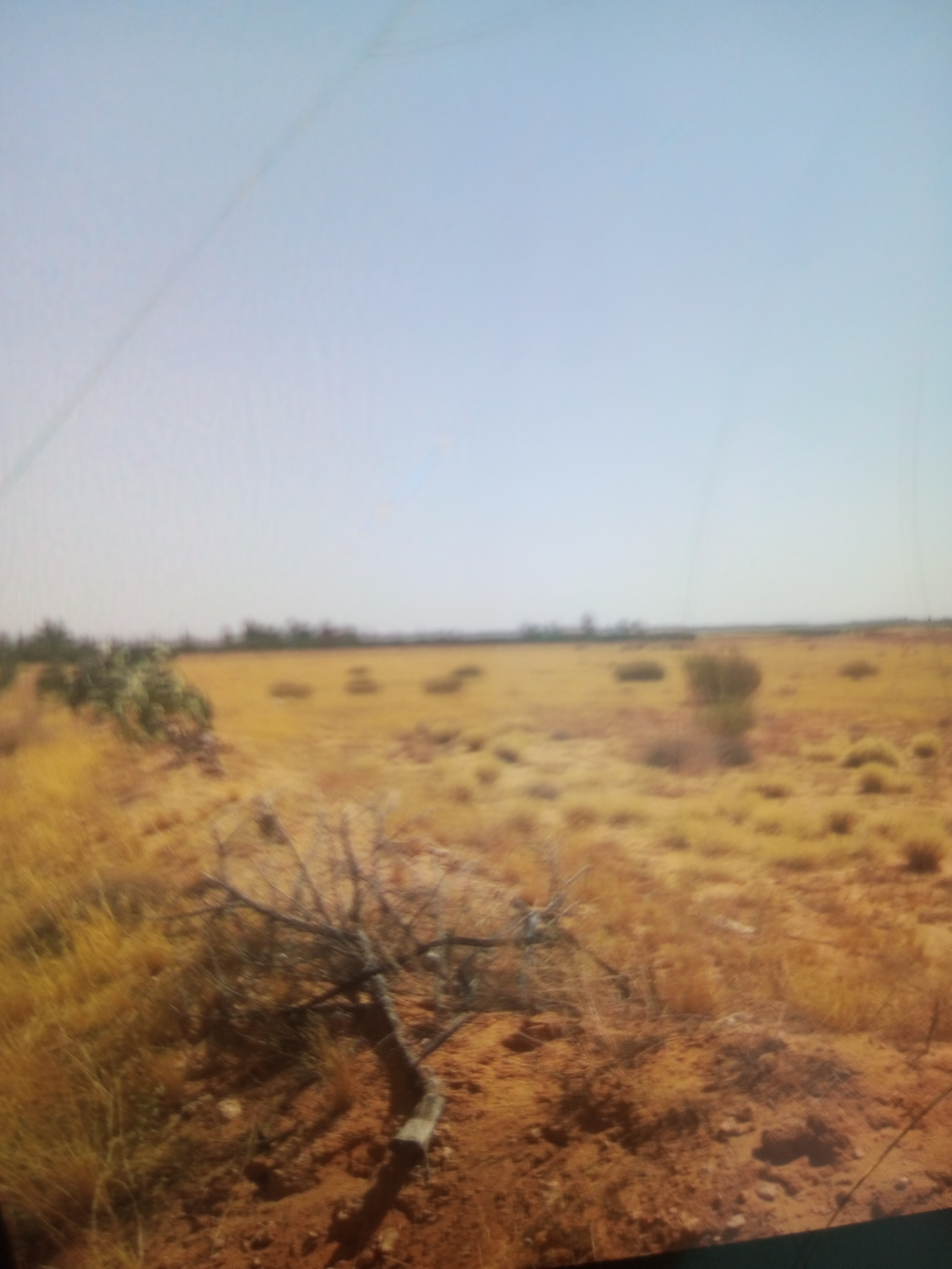 Terrain&nbsp;Terrain agricole