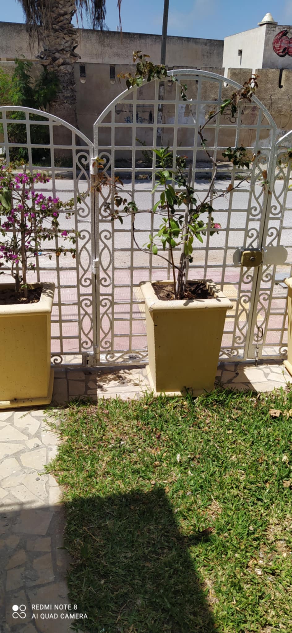 Location vacances Maisons