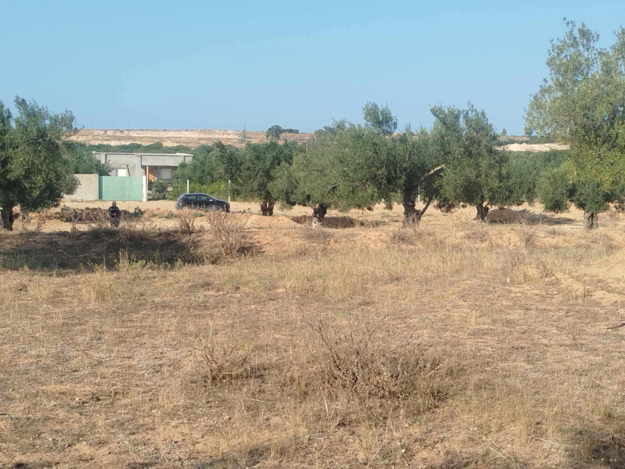 Terrain Terrain agricole