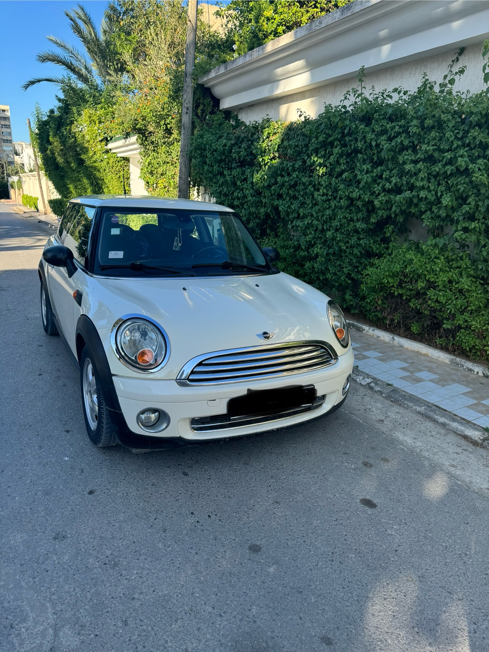 Mini Mini