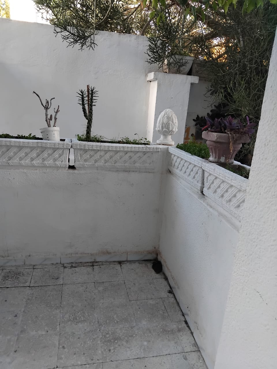 Location Appart. 1 pice