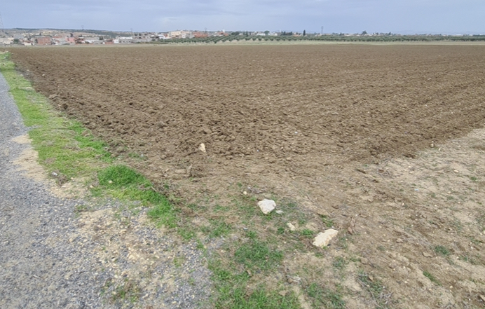 Terrain Terrain agricole
