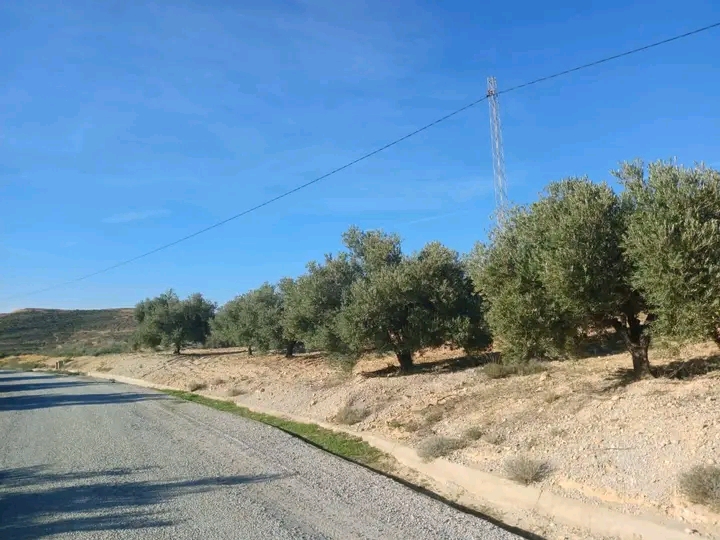Terrain Terrain agricole