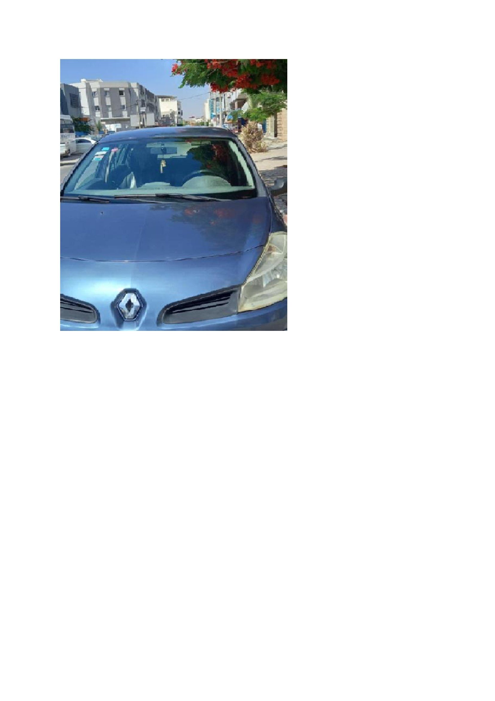 Gabes Medina Gabes Renault Clio Clio3 d'une dame au foyer