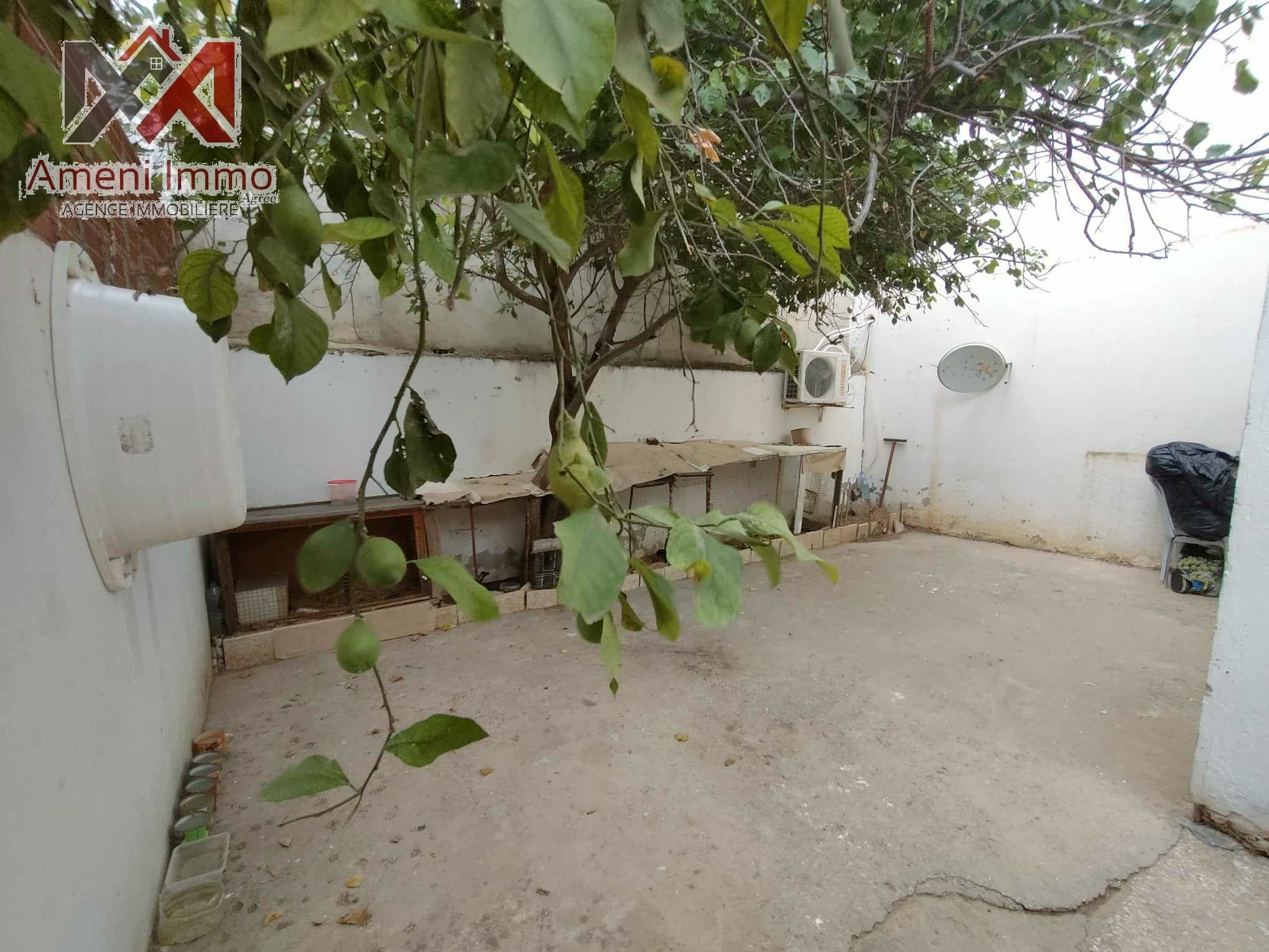 Oued Ellil Oued Ellil Vente Duplex Duplex  oued ellil