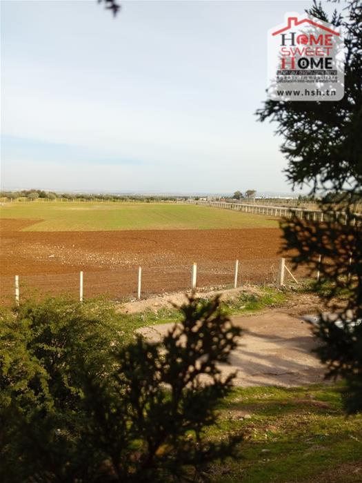 Borj El Amri Borj El Amri Terrain Terrain agricole Terrain agricole baraka  borj el amri