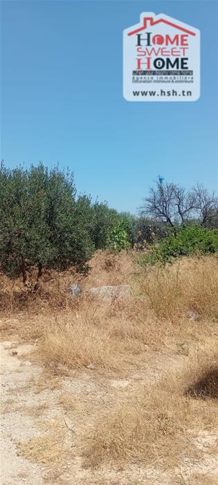 Zaghouan Zaghouan Vente Surfaces Terrain villa rama   zaghouan