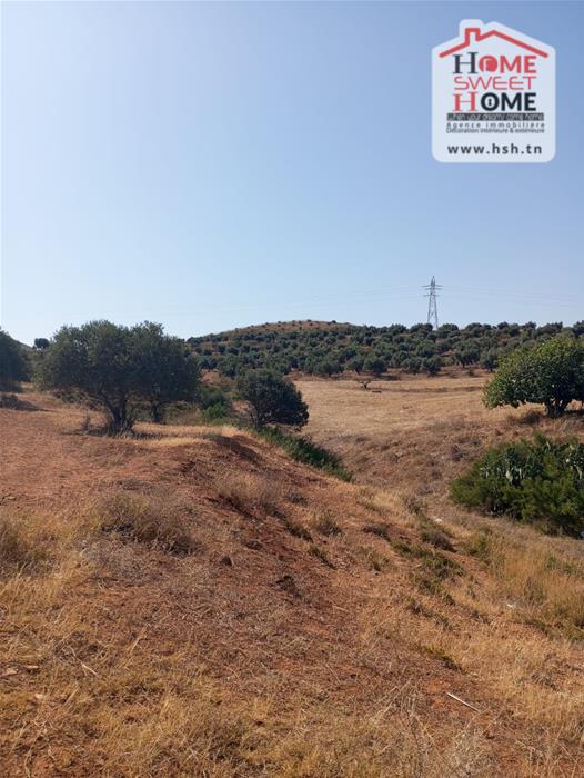 Sidi Thabet Sidi Thabet Vente Surfaces Terrain de villa cyrine a sidi thabet