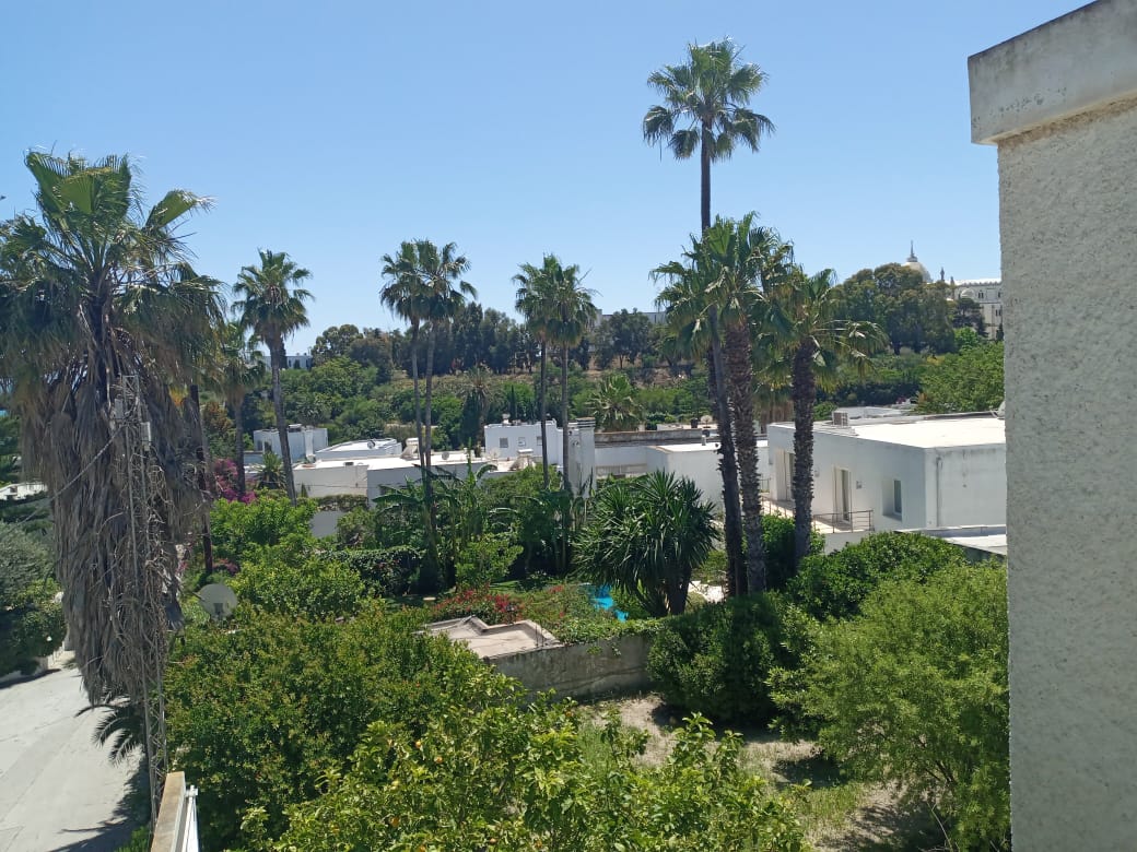 Carthage Carthage Vente Maisons Villa de charme a carthage