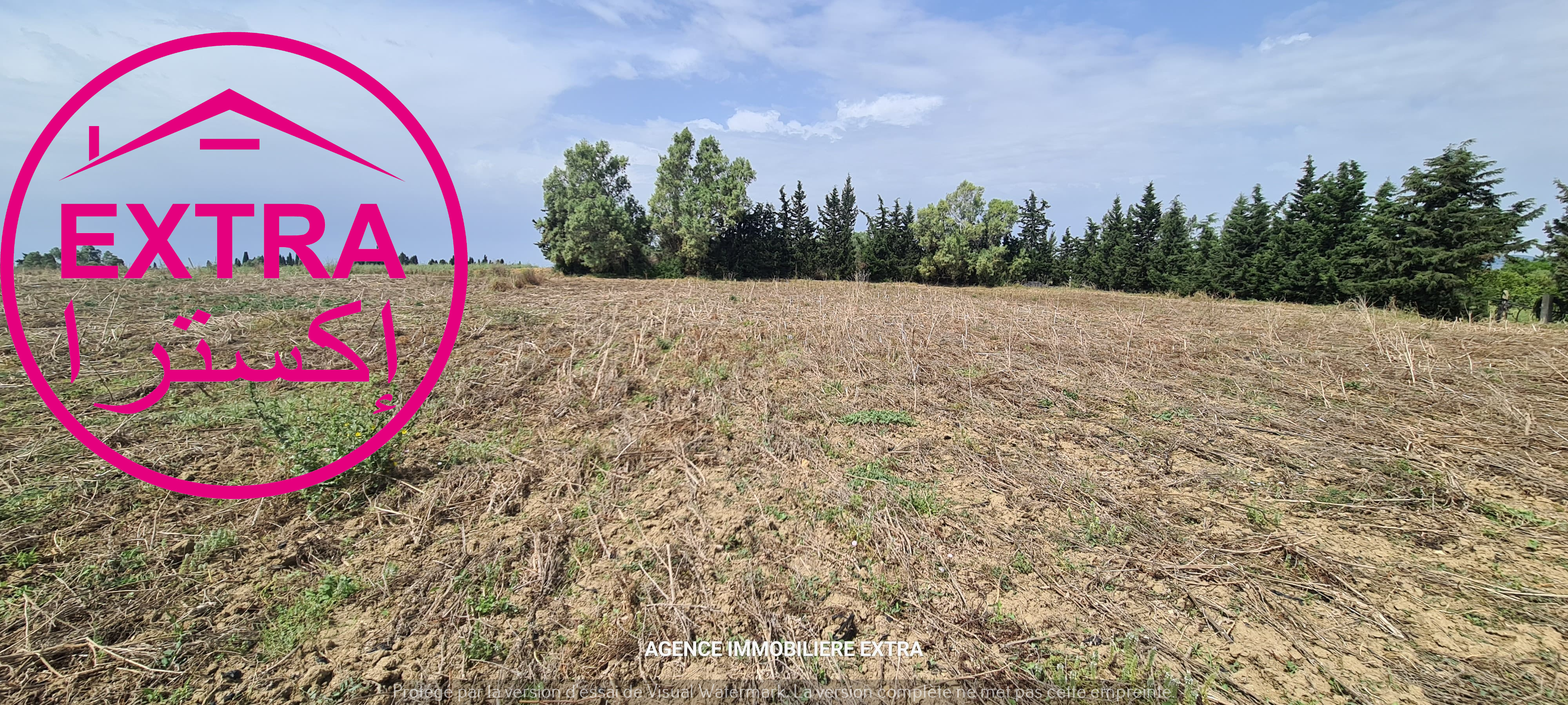 Terrain Terrain agricole
