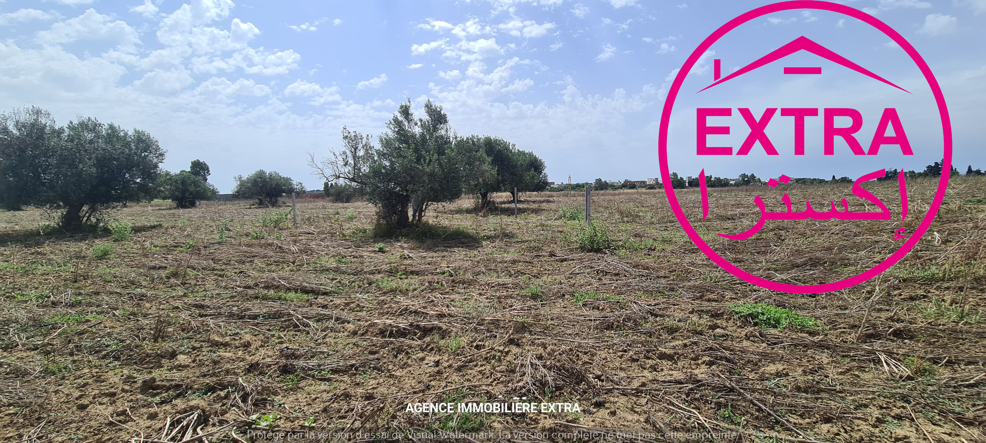 Terrain Terrain agricole