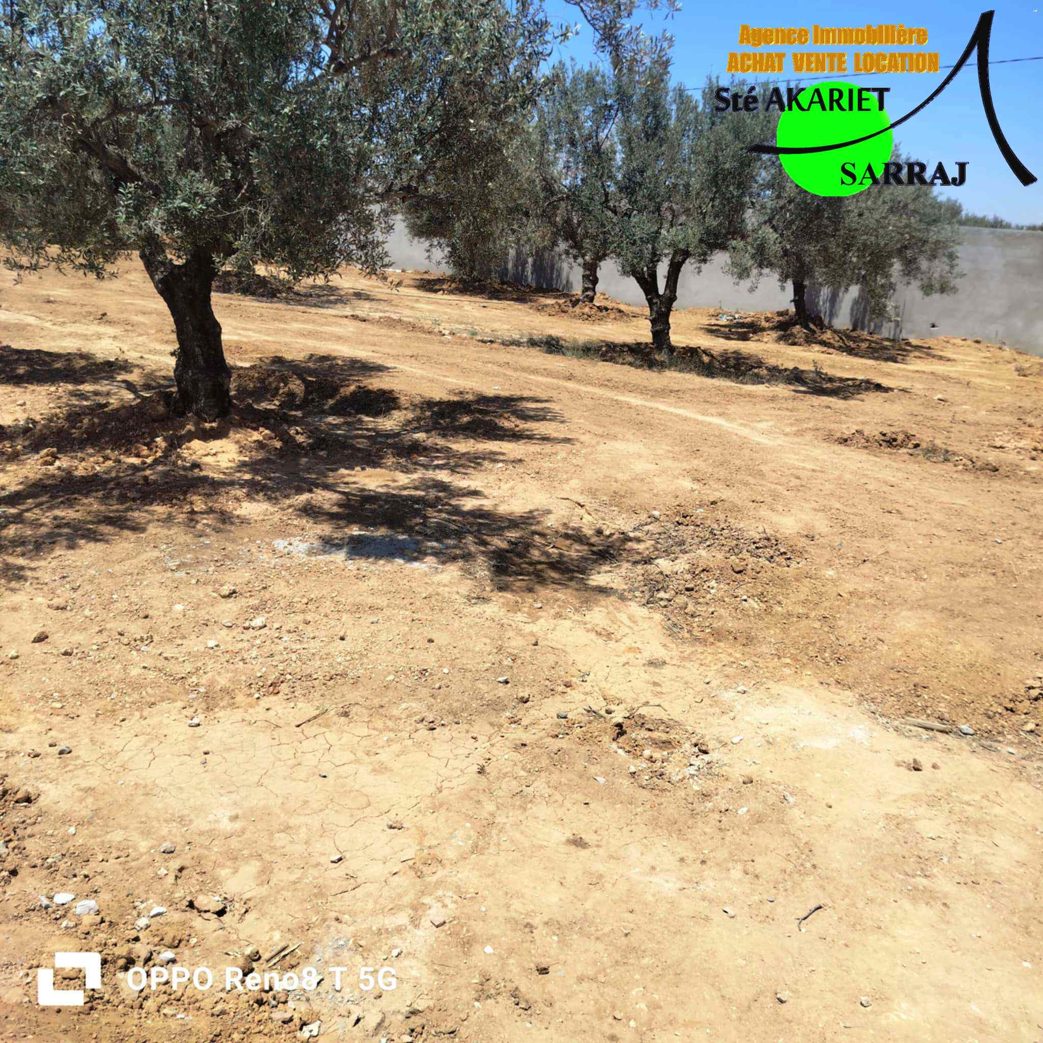 Kalaa Essghira Kalaa Essghira Terrain Terrain agricole Lot cltur 800m sur l'autoroute  kalaa seghira