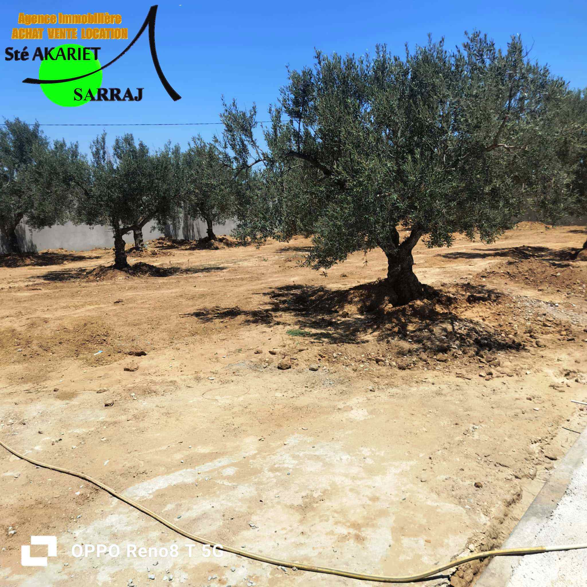 Kalaa Essghira Kalaa Essghira Terrain Terrain agricole Lot cltur 800m sur l'autoroute  kalaa seghira