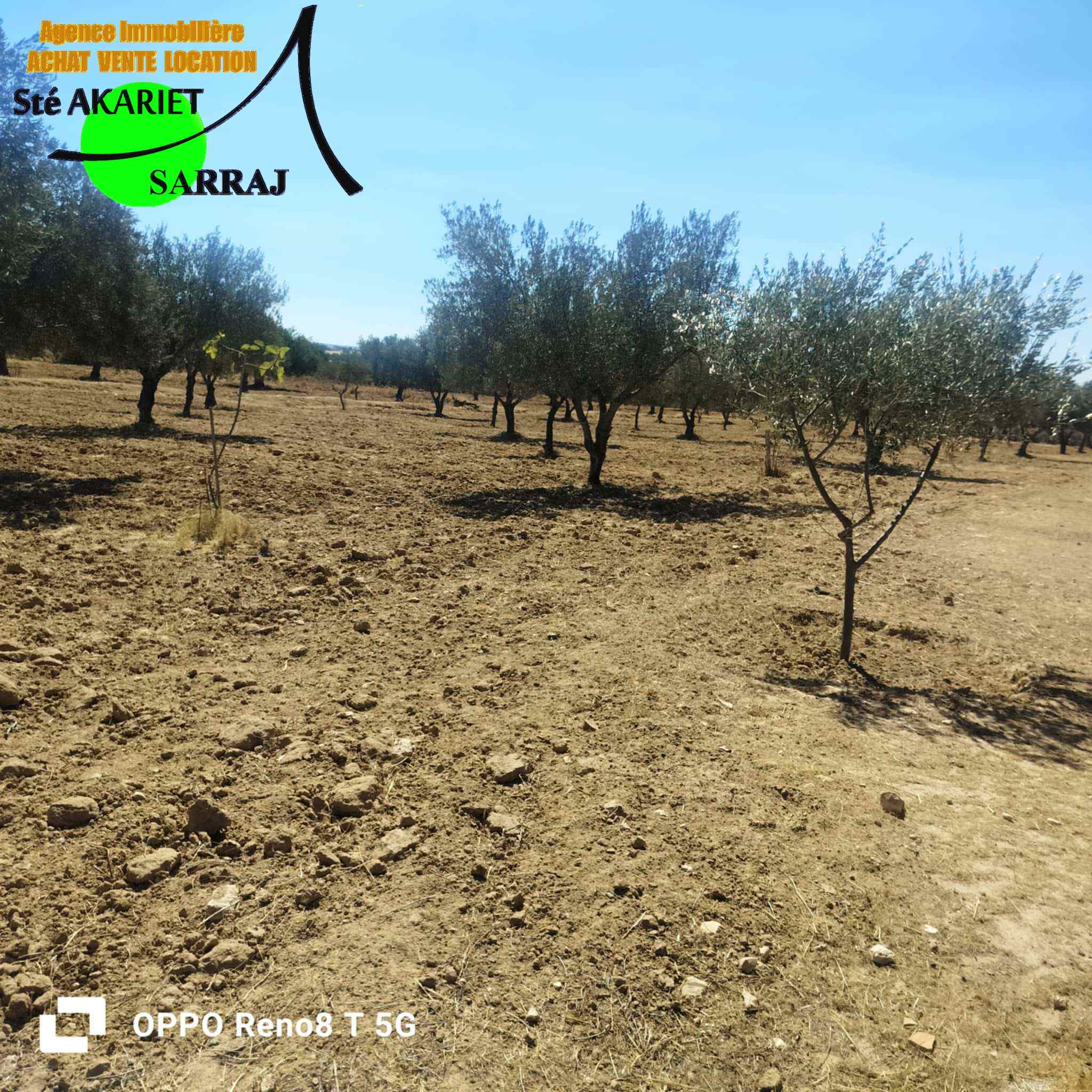 Terrain Terrain agricole