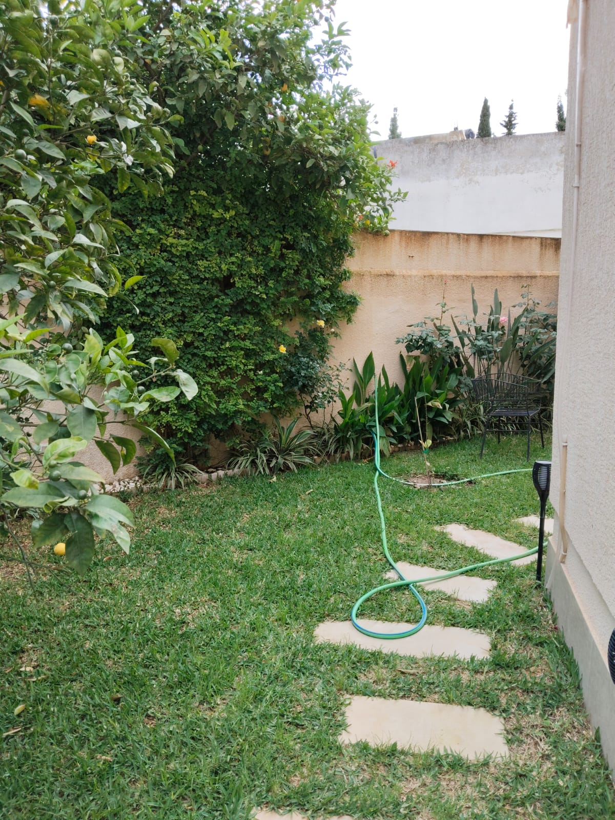 Ariana Ville&nbsp;Cite Ennouzha&nbsp;Vente&nbsp;Maisons&nbsp;Ariana cit� ennozha vnt petit immeuble