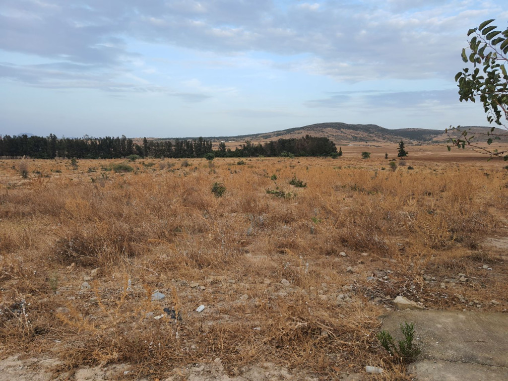 Terrain Terrain agricole
