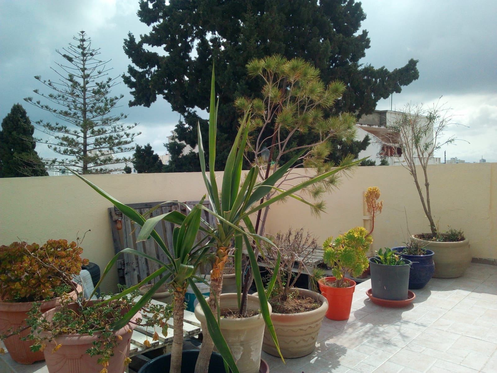 El Menzah Tunis Belvedere Location Appart. 5 pices+ Convient pour expatris enseignant