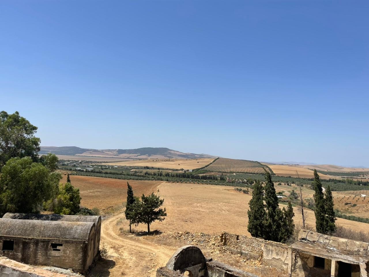 Utique El Fejja Terrain Terrain agricole Terrain agricole ou idal projet maison dhtes