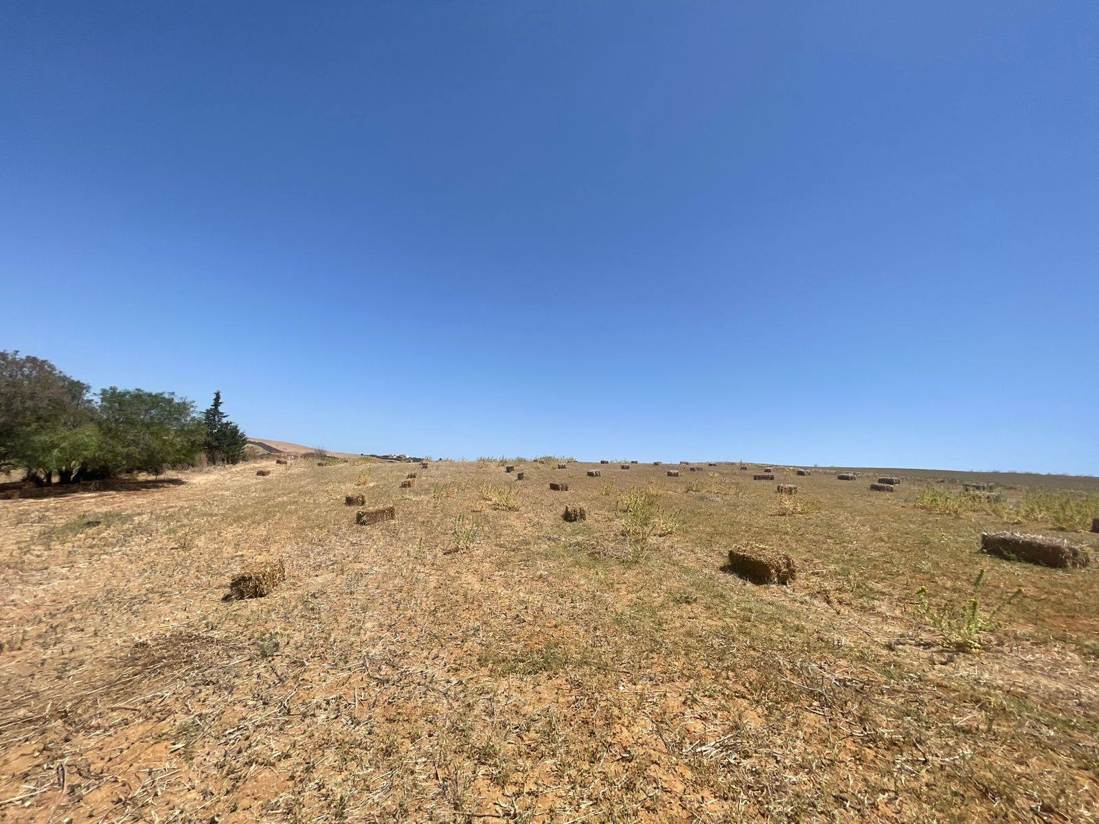 Terrain Terrain agricole