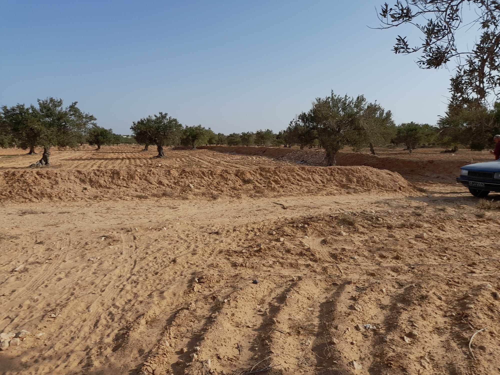 Terrain Terrain agricole