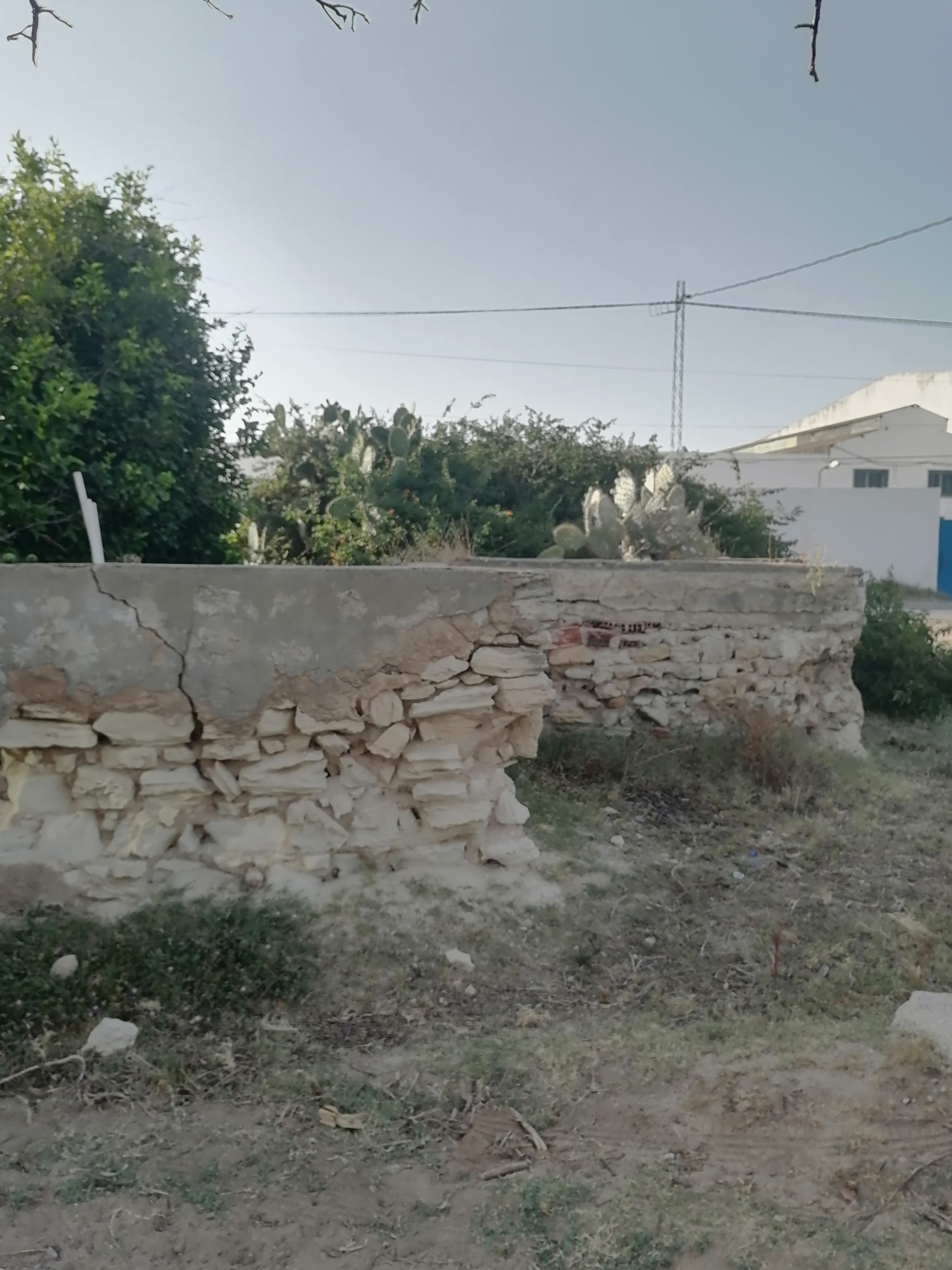 Nabeul&nbsp;Cite Industrielle&nbsp;Terrain&nbsp;Terrain nu&nbsp;Terrain nu pour habitation