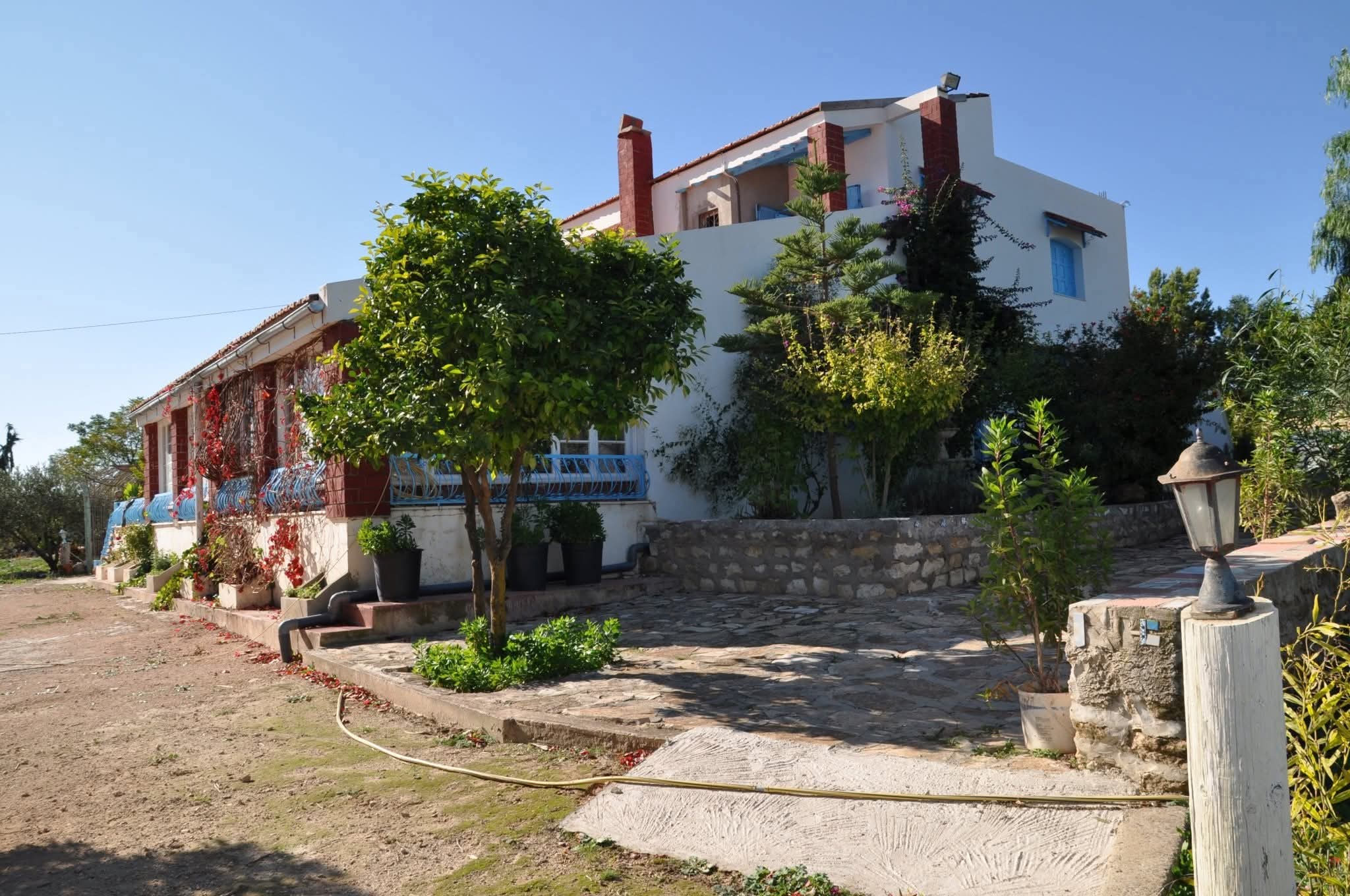 Le Kef Ouest Kef Ouest Vente Maisons Maison d'hte 3 hectares