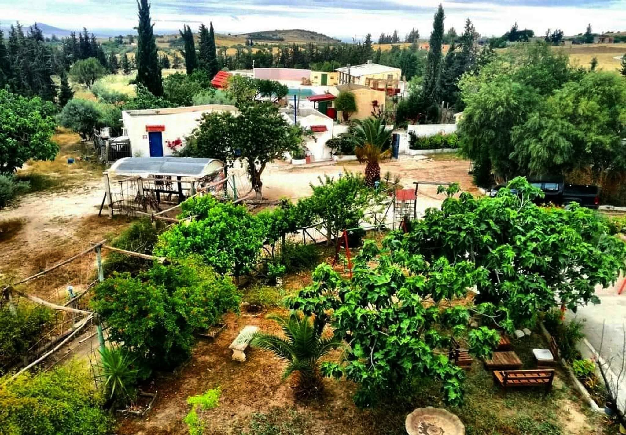 Le Kef Ouest Kef Ouest Vente Maisons Maison d'hte 3 hectares